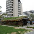 Anchorage, Alaska visitor's information center (grass roof)