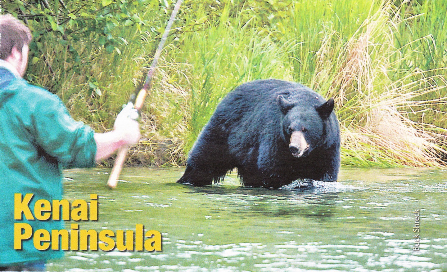 Fishing in Alaska with a black bear.