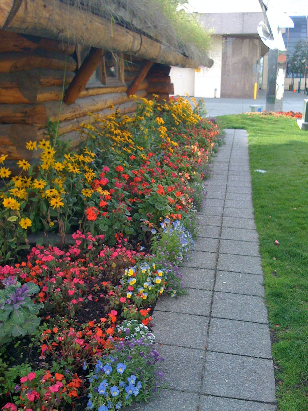 Flowers at the Anchorage Visitor's Center (Anchorage, Alaska).