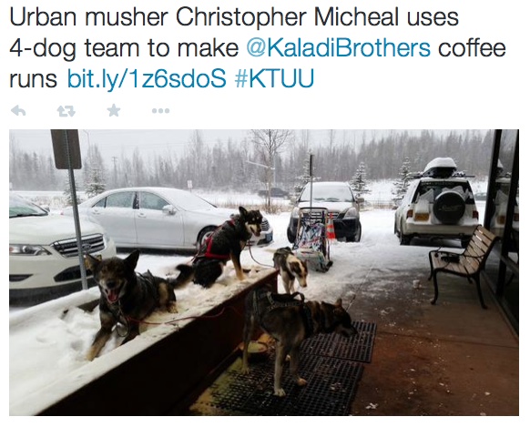 Alaska musher delivers coffee.