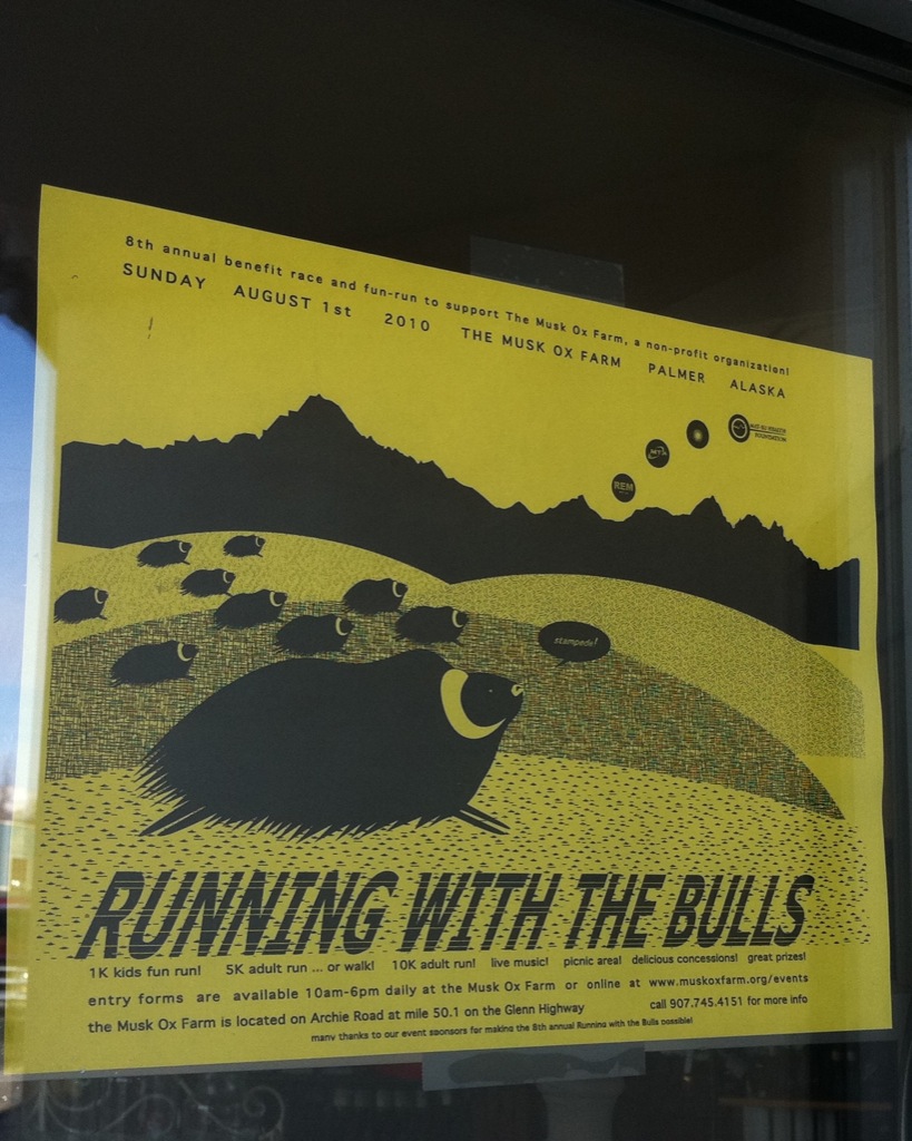 Palmer, Alaska - Running with the Bulls.
