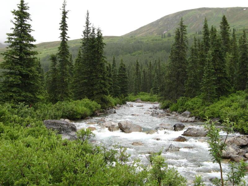 Hatcher Pass