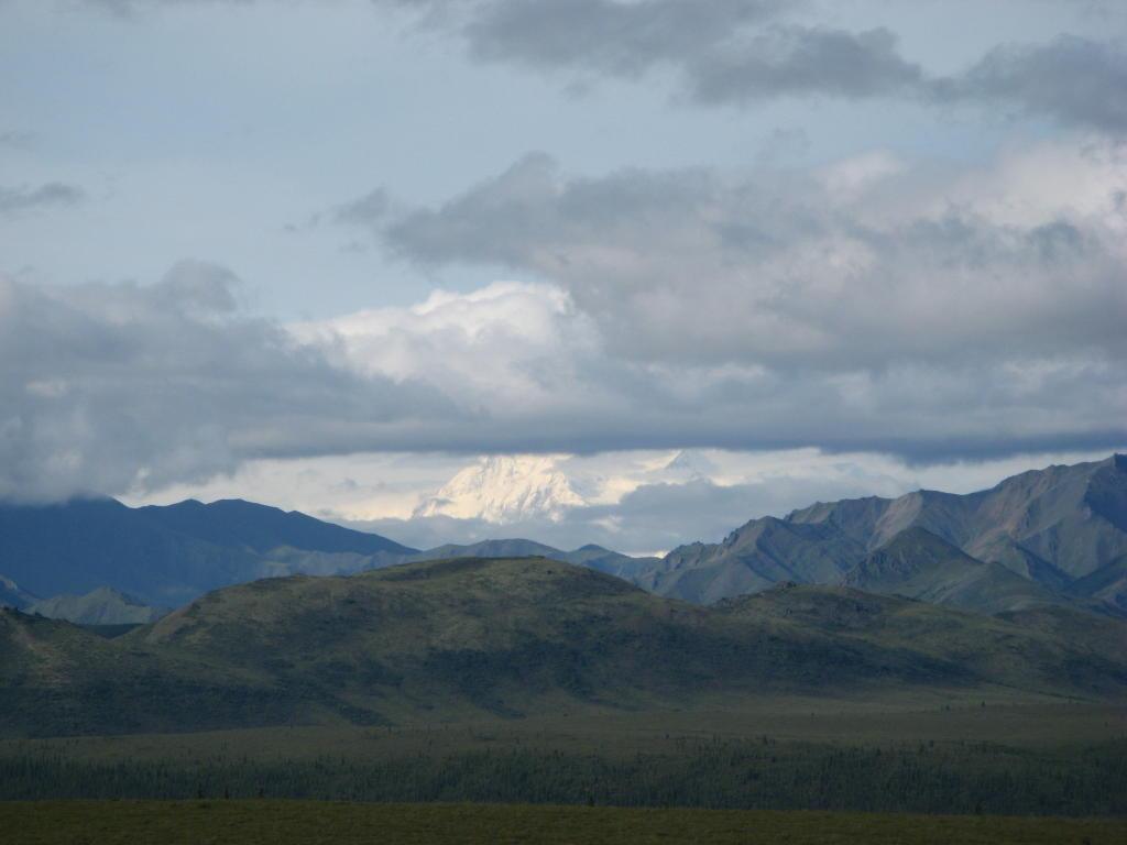 A view of Denali (Mt. McKinley) in the park