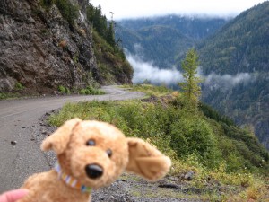 Brownie, the third-grade mascot, in Hyder, Alaska