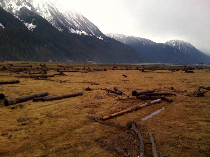 More of the estuary in Stewart, British Columbia