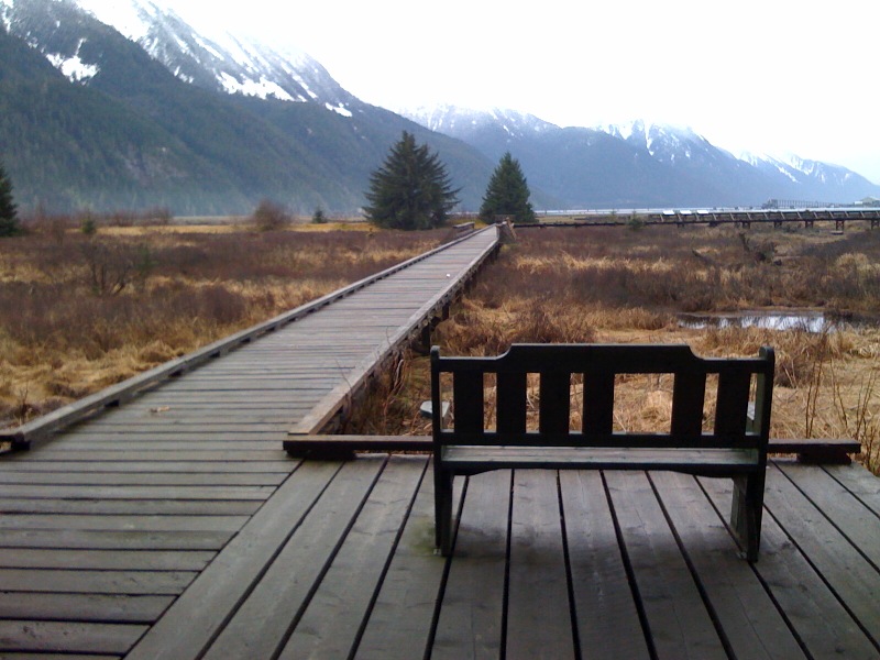 Part of the estuary boardwalk in Stewart, British Columbia