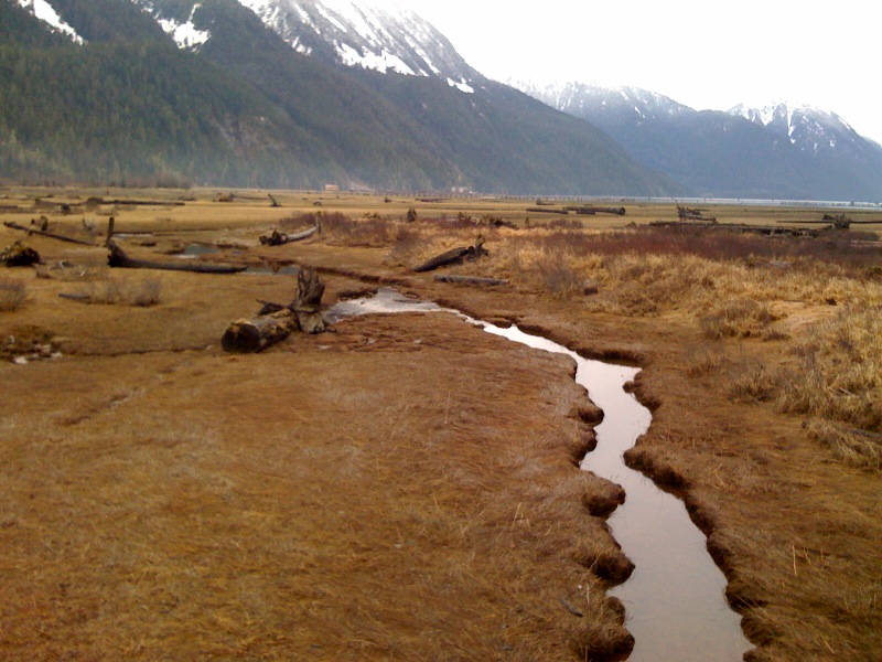 The estuary in Stewart, British Columbia