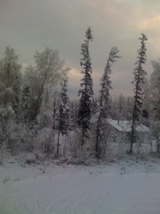 Wasilla, Alaska, in the middle of a deep freeze