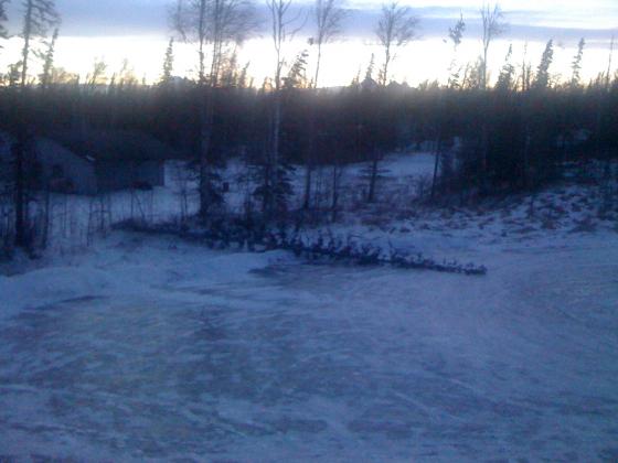 Wasilla, Alaska weather, December 16, 2010 - trees down