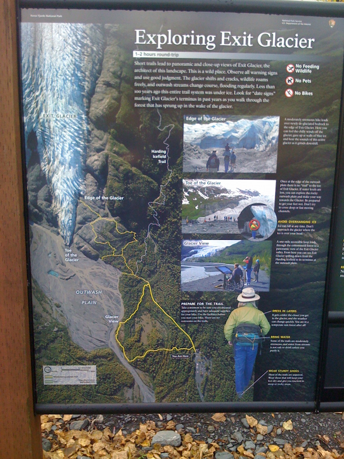 Exit Glacier sign, Seward, Alaska.