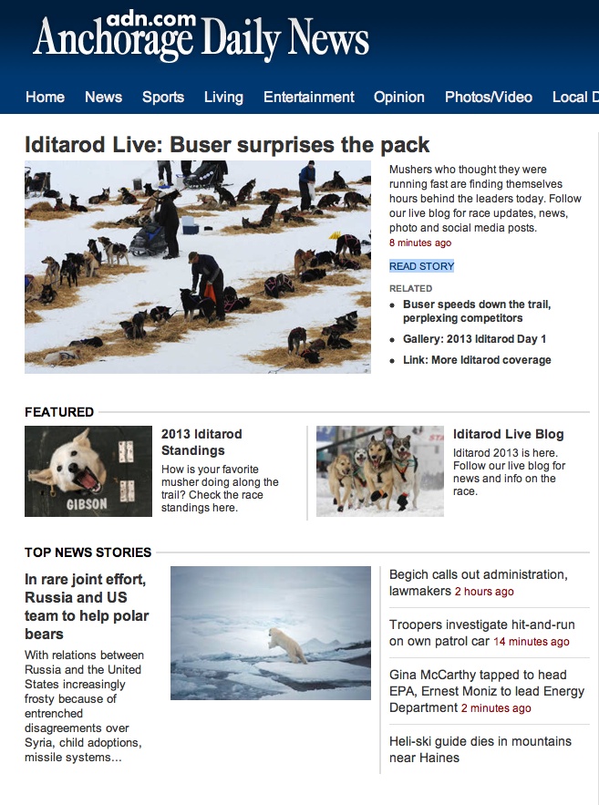 Iditarod sled dogs, 2013 race.