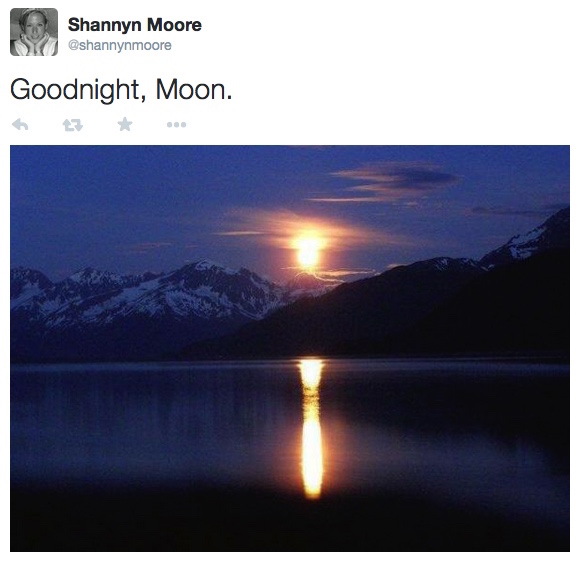 Goodnight, moon.